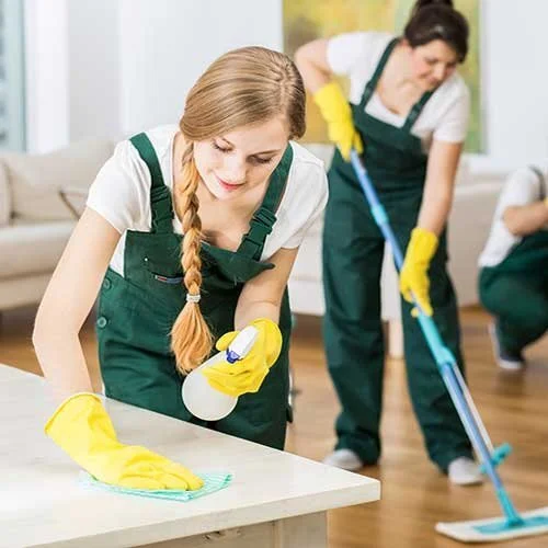 Cleaning Showcase 3