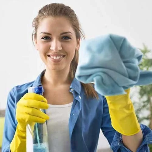 Cleaning Showcase 5