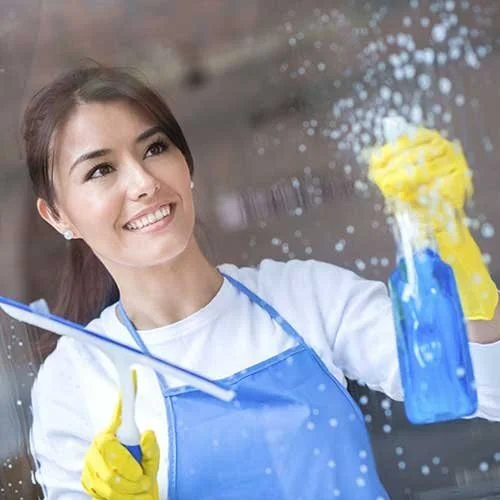 Cleaning Showcase 6